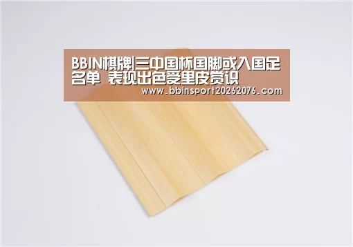 BBIN棋牌|三中国杯国脚或入国足名单 表现出色受里皮赏识(图1) BBIN棋牌