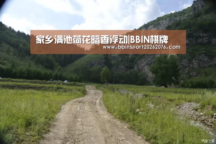 家乡满池荷花暗香浮动|BBIN棋牌(图3) BBIN棋牌