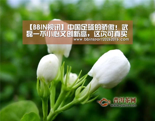 【BBIN视讯】中国足球的骄傲!武磊一不小心又创新高,这次可真买不回来了!(图1) BBIN视讯