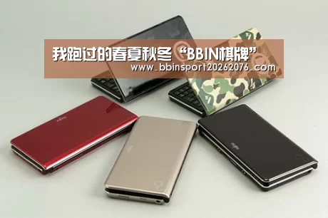 BBIN登录