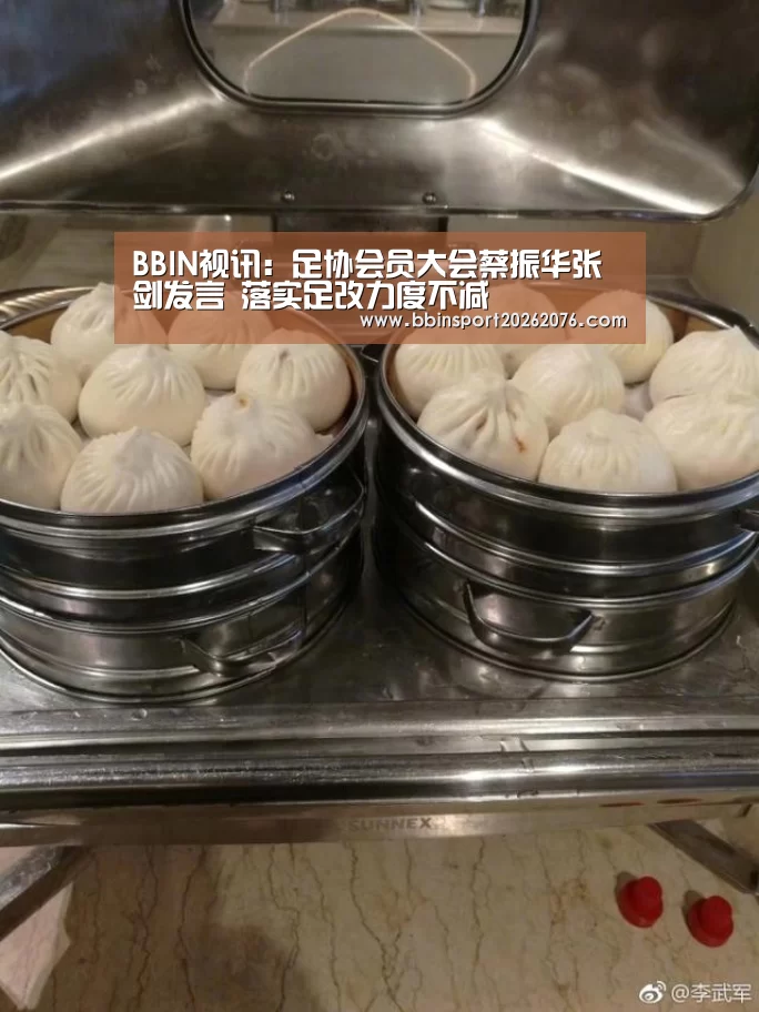 BBIN视讯:足协会员大会蔡振华张剑发言 落实足改力度不减(图3) BBIN登录